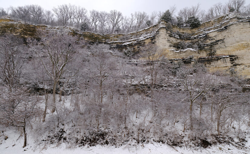 Jeffrey Vaughn, 2025, Snow Trees